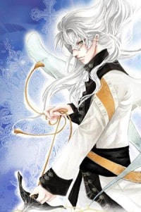 狂婿