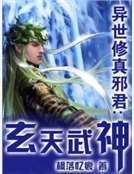 异世修真邪君:玄天武神