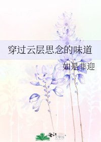 穿过云层思念的味道